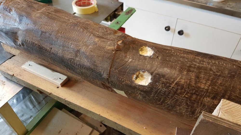 20200402_121945 [1024x768].jpg